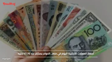 أسعار العملات الأجنبية اليوم في مصر.. الدولار يستقر عند 47.70 جنيه
